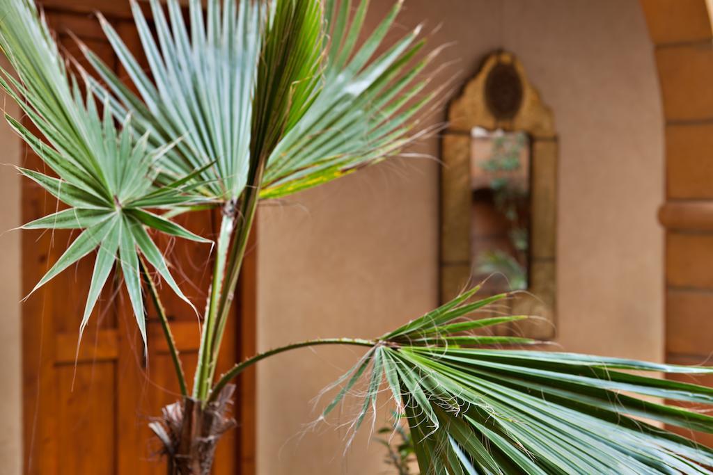 Riad Chbanate Essaouira Exterior photo